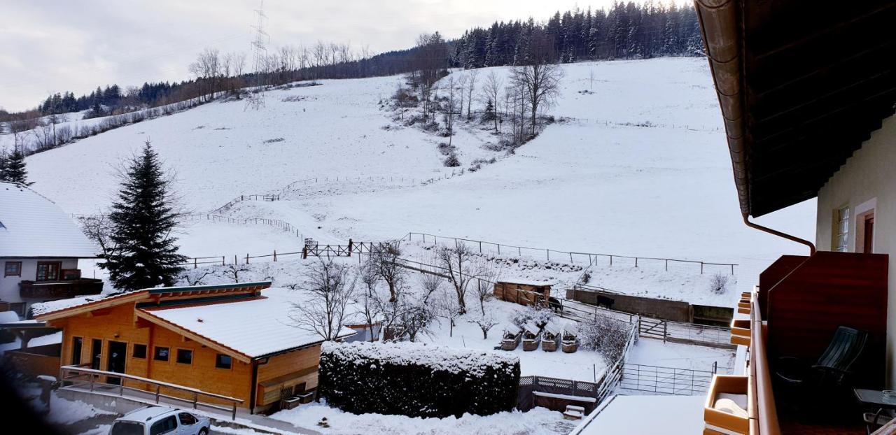 Hubertushof Hotel Trattenbach  Bagian luar foto