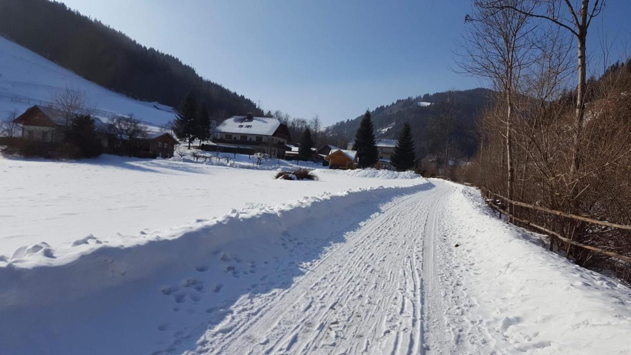 Hubertushof Hotel Trattenbach  Bagian luar foto