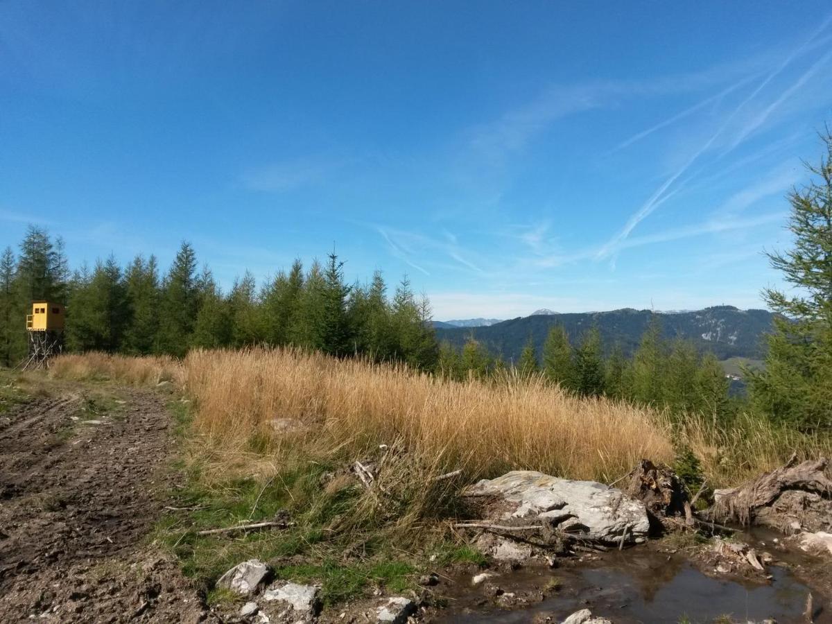 Hubertushof Hotel Trattenbach  Bagian luar foto